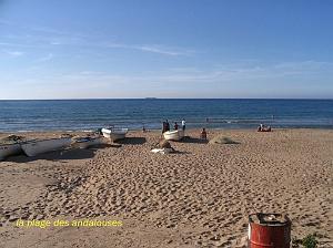ORAN MAI 2008 3158 plage des Andalouses